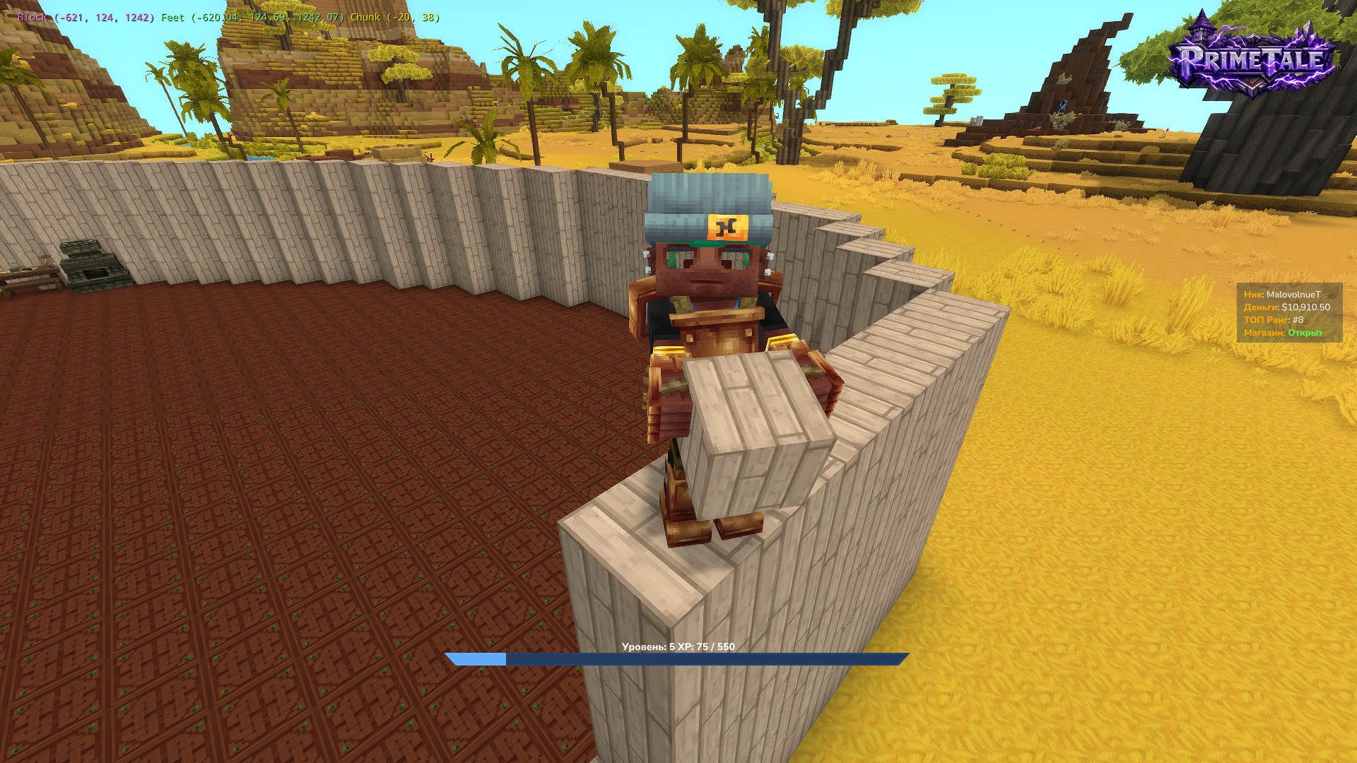 Скриншот сервера