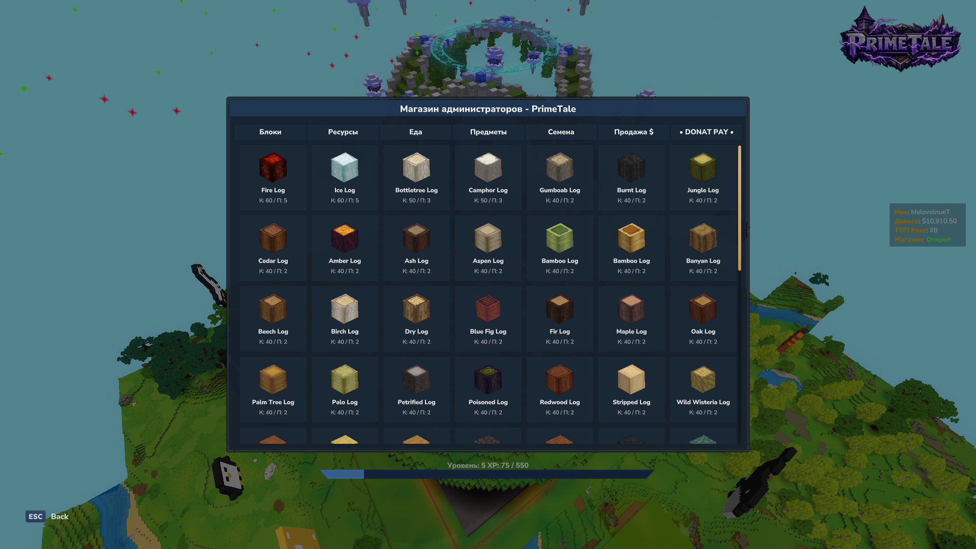 Скриншот сервера