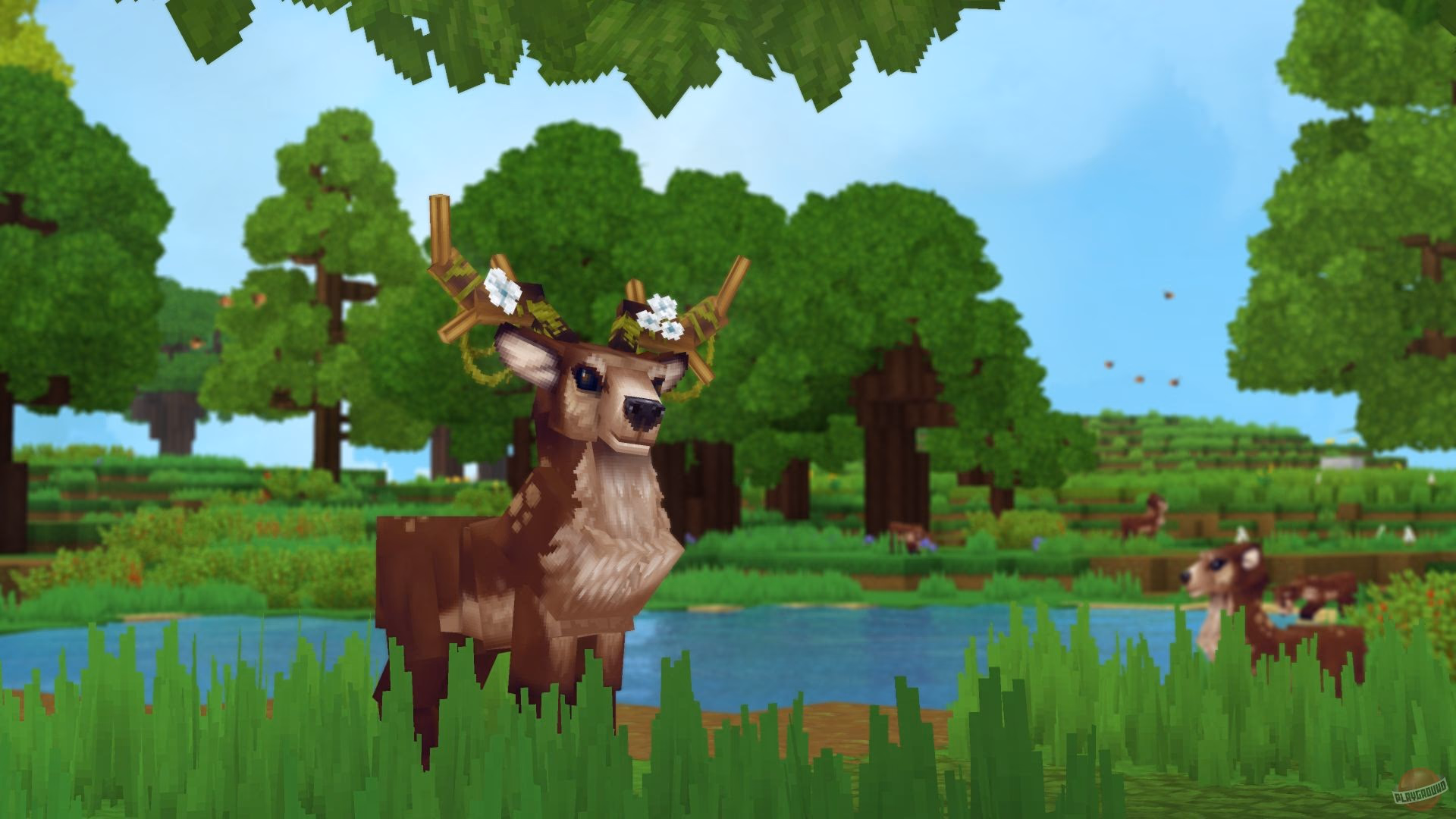 Скриншот сервера